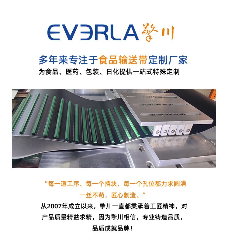 <a href='http://zhuex8.cn/' target='_blank'><u>PU同步帶</u></a>加V型擋塊